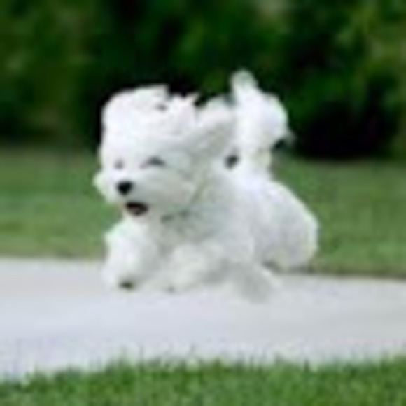 Meet your Posher, Sarah - Picture 1 of 1